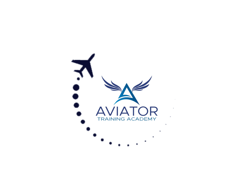 Aviator training academy